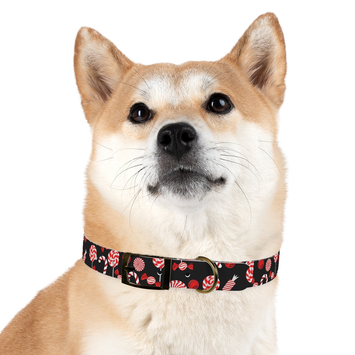 Dog Collar / Christmas Dog Collar