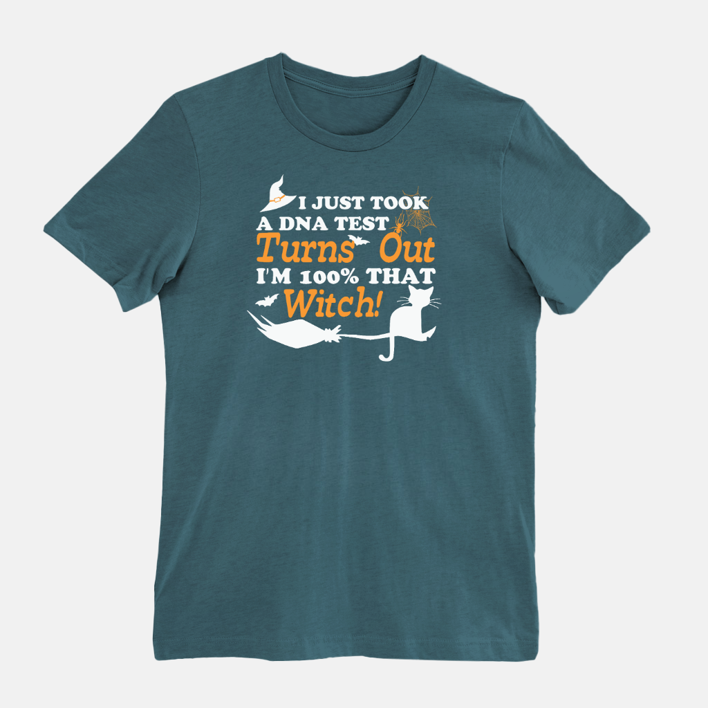 Funny Halloween Shirt / Witch Tshirt