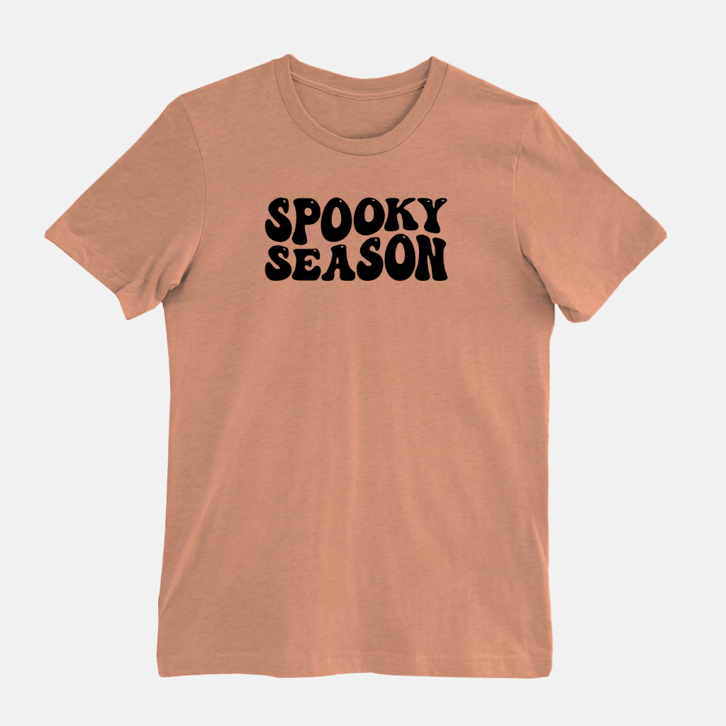 Halloween Shirt / Spooky Season Tshirt