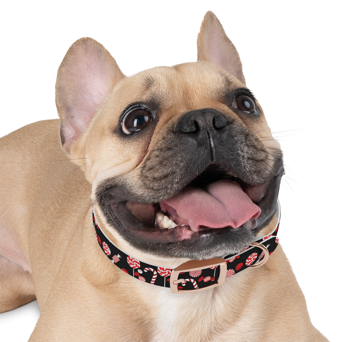 Dog Collar / Christmas Dog Collar