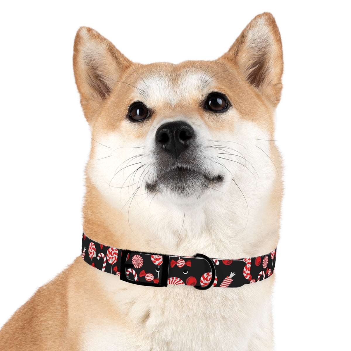 Dog Collar / Christmas Dog Collar