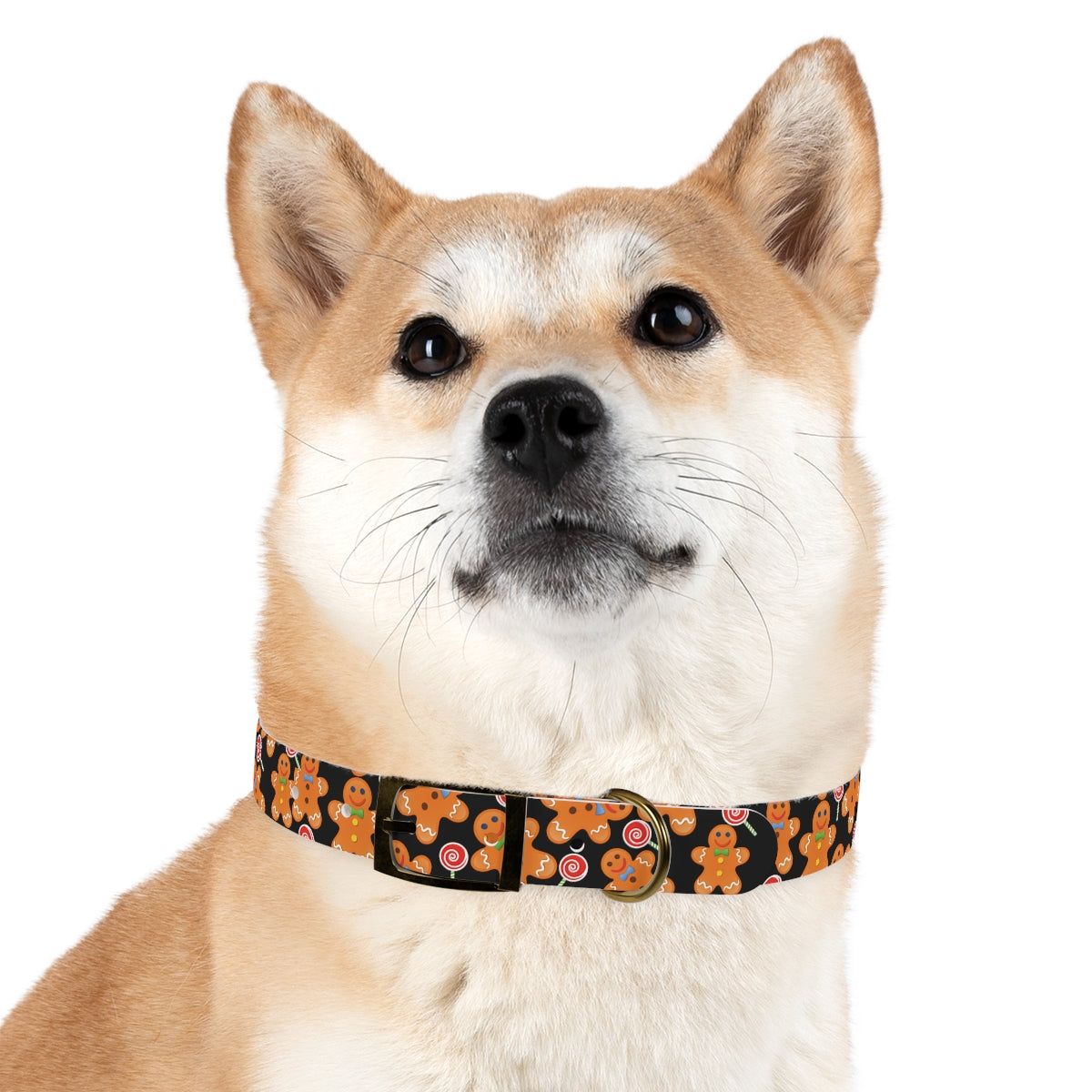 Dog Collar / Dog Christmas Gift