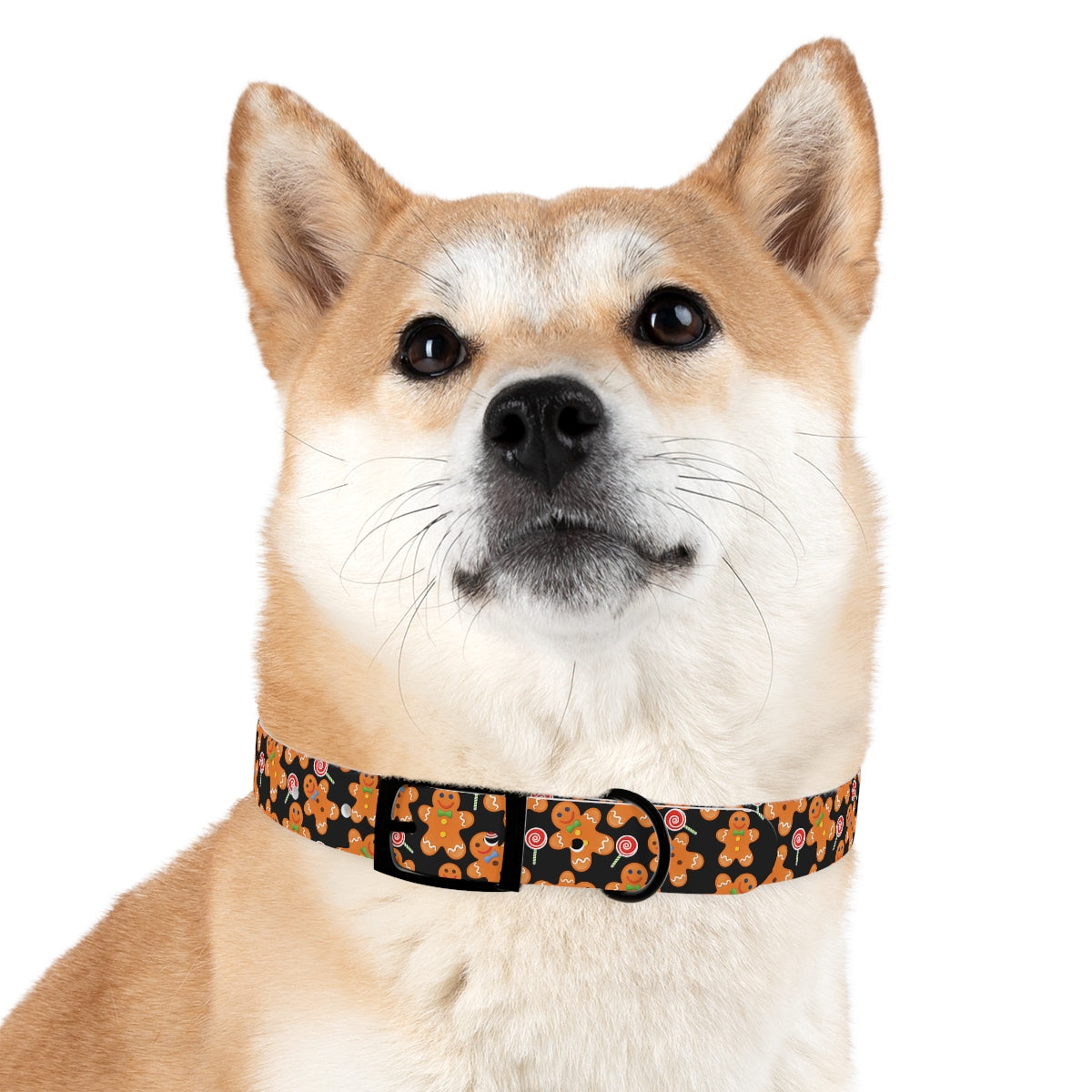 Dog Collar / Dog Christmas Gift
