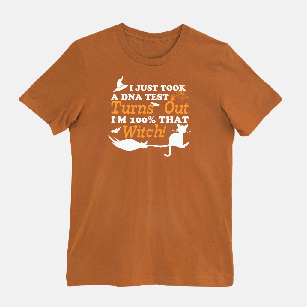 Funny Halloween Shirt / Witch Tshirt